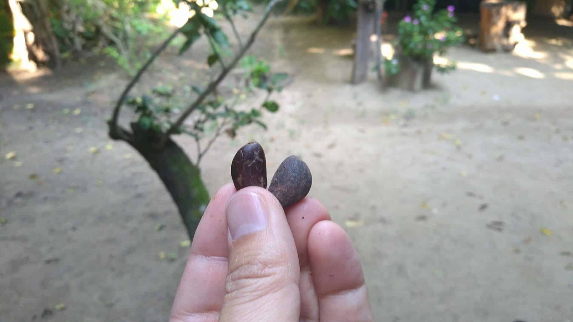 煎った黒いカカオ