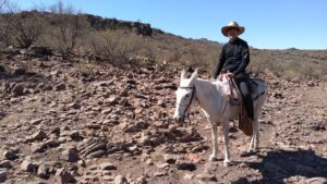 メキシコガイドの岩﨑功がロバに跨っている