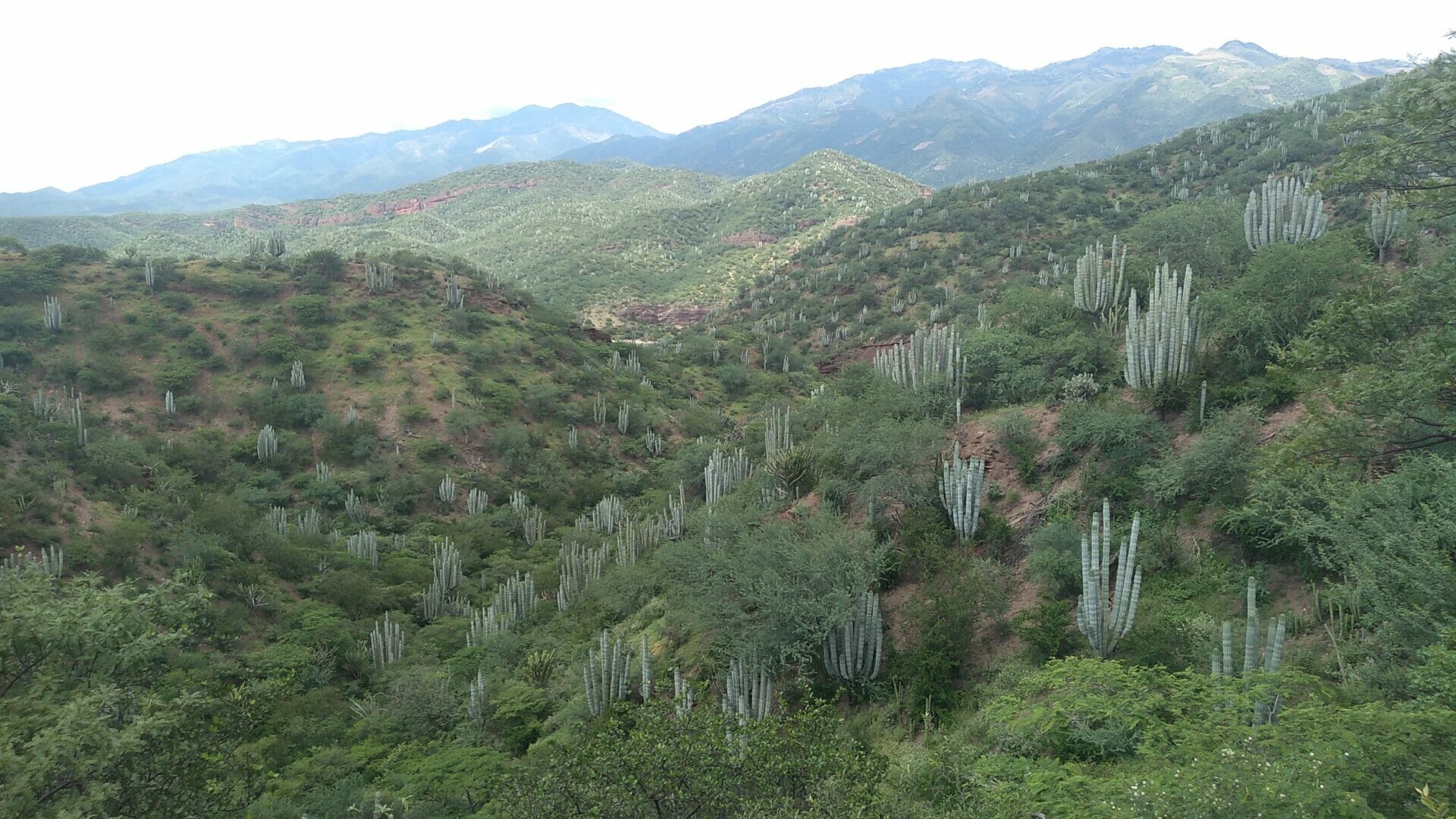 メキシコのオアハカの大自然が広がる