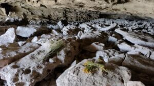 メキシコのオアハカのミトラの洞窟遺跡に花が手向けられている