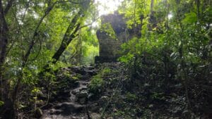 Ruins in the jungle of Lacandon, Chiapas, Mexico