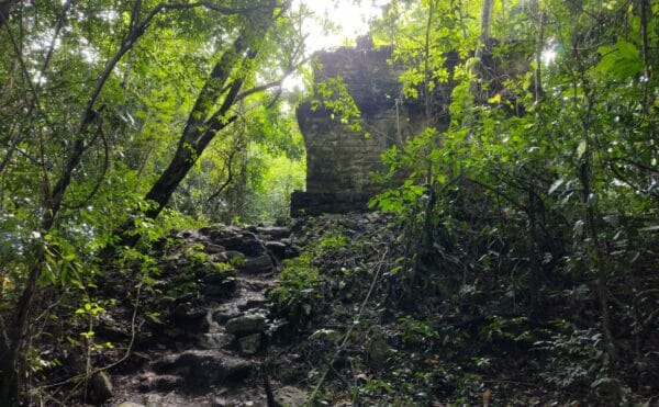 Ruins in the jungle of Lacandon, Chiapas, Mexico