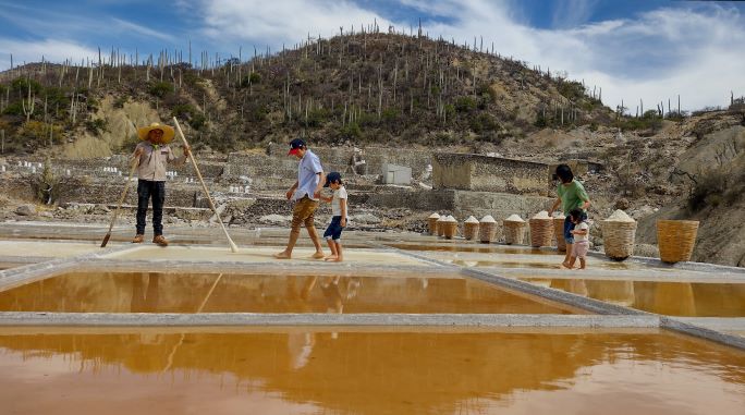 Zapotitlan Sal | メキシコのプライベートツアー | MCT