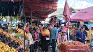 Mercado de sancristobal | メキシコのプライベートツアー | MCT メキシコの地元の市場