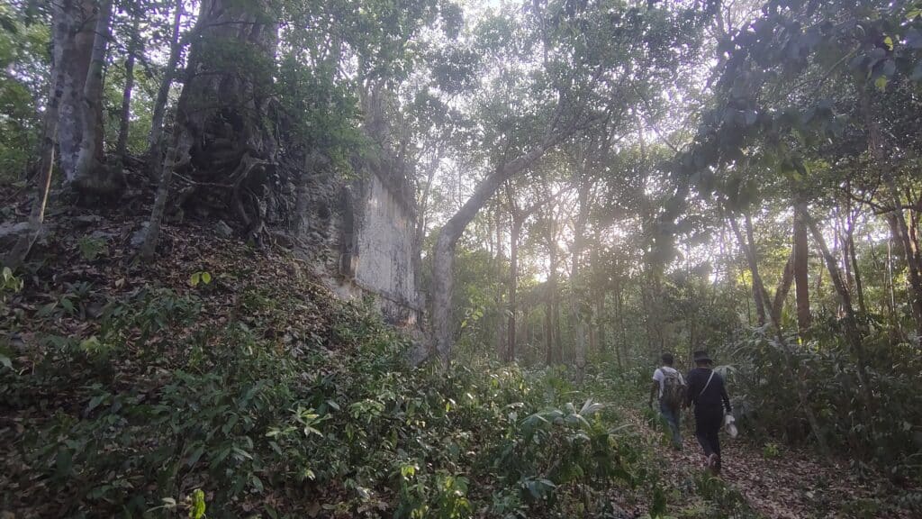 TYsama 2 | メキシコのプライベートツアー | MCT 密林の中にあるマヤ遺跡