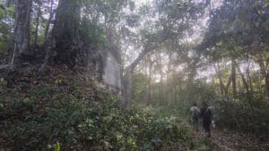 TYsama 2 | メキシコのプライベートツアー | MCT 密林の中にあるマヤ遺跡