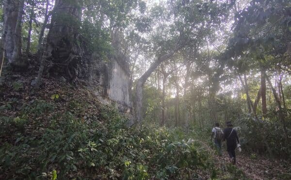 密林の中にあるマヤ遺跡