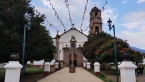 Coco iglesia | ã¡ãã·ã³ã®ãã©ã€ããŒããã¢ãŒ | MCT ãªã¡ã³ããŒããŒã®æäŒ