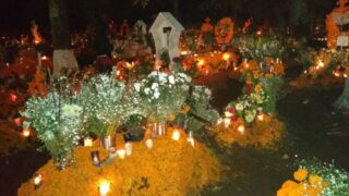 IMG_20191102_222436068-scaled-