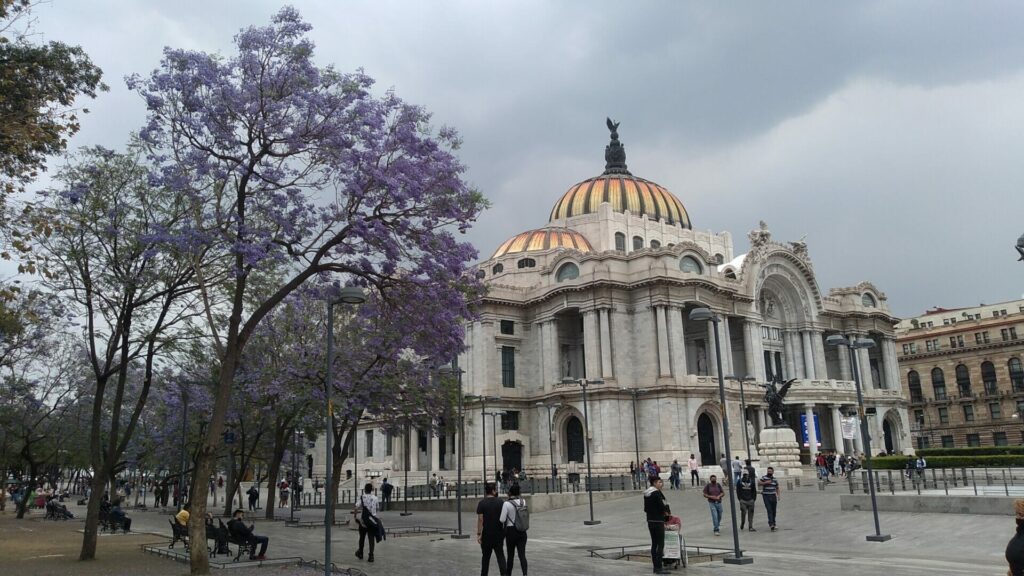 メキシコのシティ中心部の建造物と紫色の花がきれい