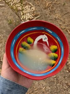 メキシコの伝統酒プルケ