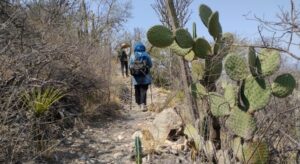 メキシコのサボテン渓谷テワカンークィカトゥラン渓谷ハイキング