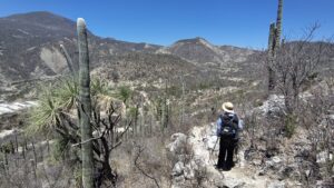メキシコの世界複合遺産テワカンークィカトゥラン渓谷でのハイキング