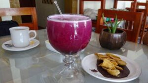 メキシコのサボテン飲料